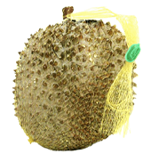 DURIAN MONTHONG (WHOLE)